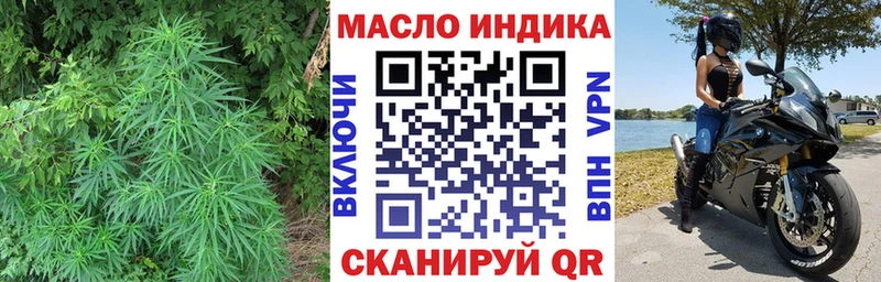цены   Котлас  ТГК концентрат 