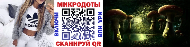 гидра ССЫЛКА  Котлас  Галлюциногенные грибы Cubensis 